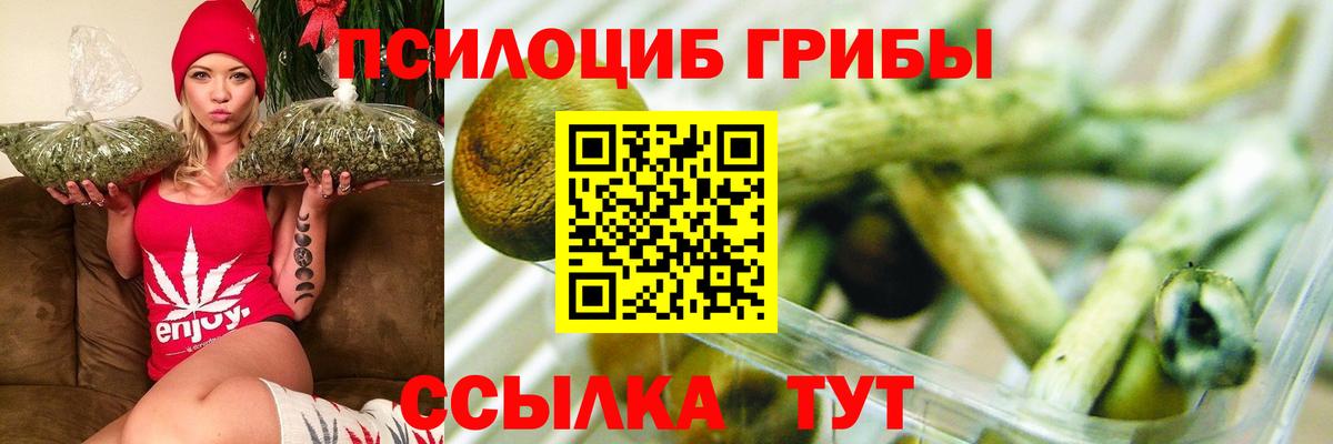 Псилоцибиновые грибы ЛСД  купить  сайты  Лесной  Вход с VPN 
